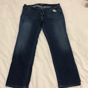 Lucky Brand Women’s Plus Ginger Straight Leg